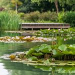 Comment choisir le coussin d’extérieur parfait pour votre jardin