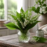 Brome ou chlore : quelle solution choisir pour votre piscine ?
